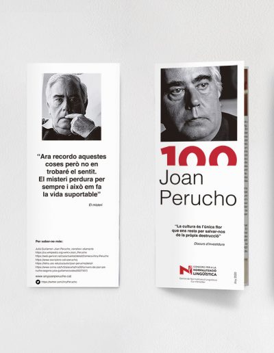 Joan Perucho - CPNL 2020