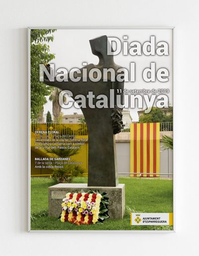 Diada Nacional Esparreguera 2019